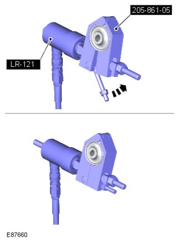 G11675228