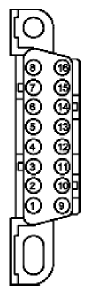 G11676889