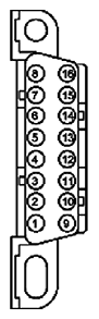 G11681349
