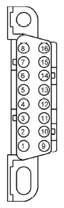 G11681459