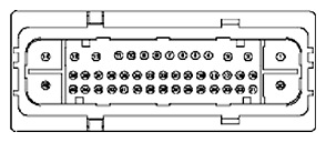 G11681758