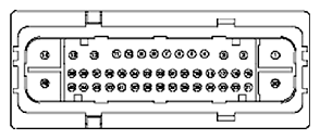 G11681759