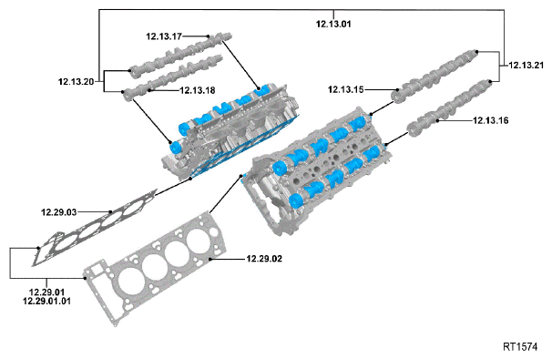 G11686212