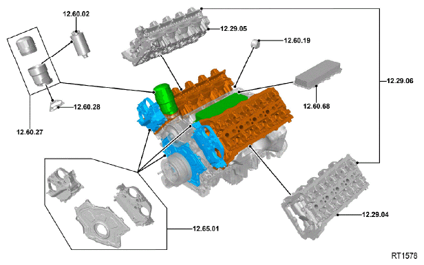 G11686246
