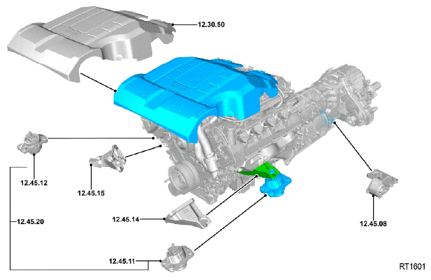 G11686314