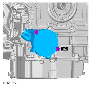G11686667