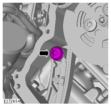 G11686678