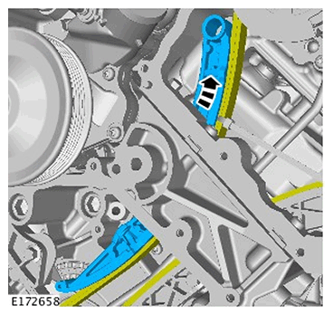 G11686681
