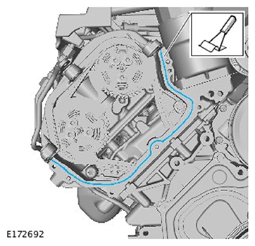 G11686719