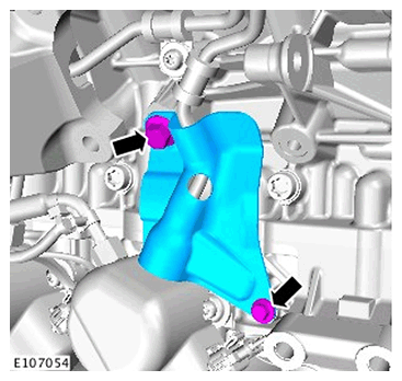 G11686730