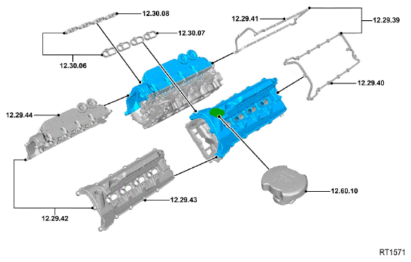 G11686836
