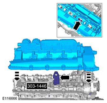 G11686844