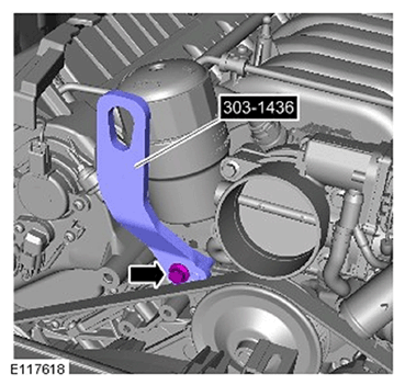 G11686979