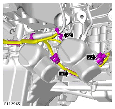 G11689081