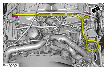 G11689197