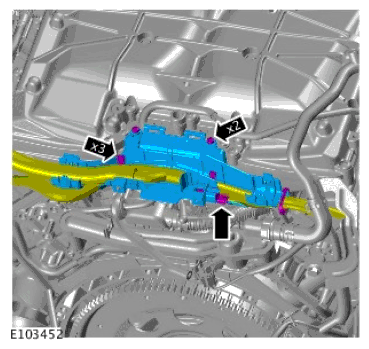 G11689863
