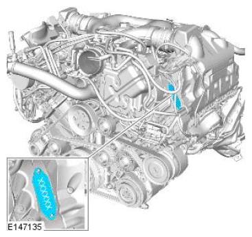G11692286