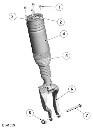 G11692382
