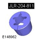 G11692411