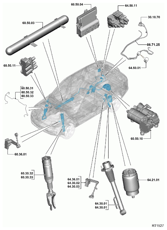 G11692431
