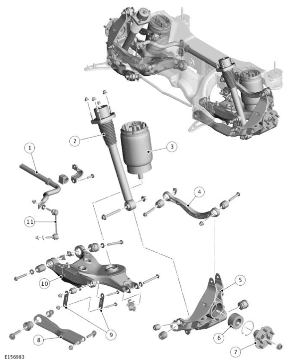 G11692531