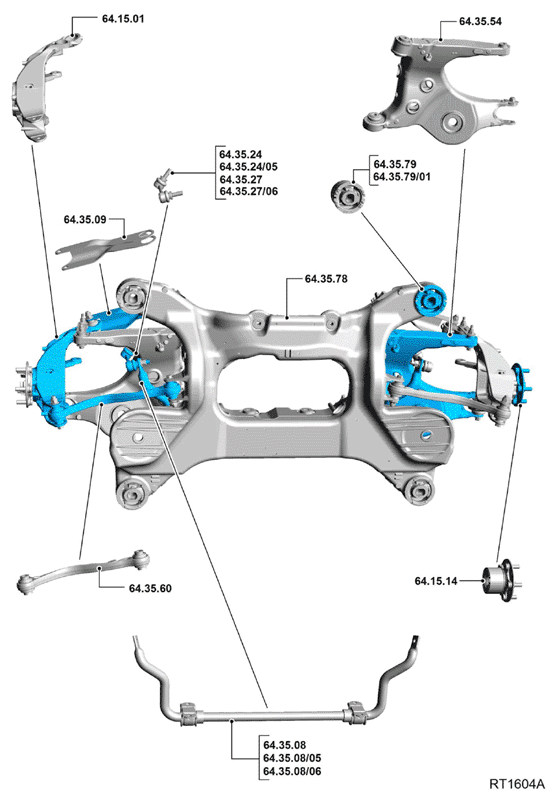 G11692538