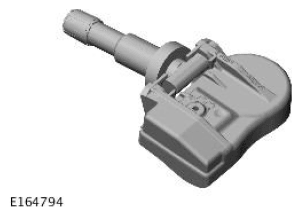 G11692782