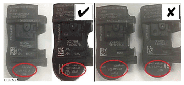 G11692795