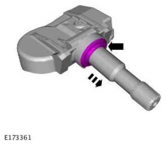 G11692809