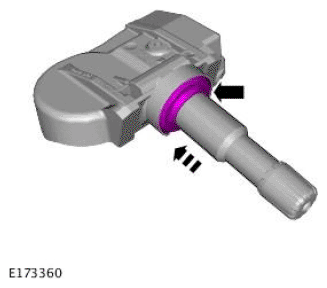 G11692810