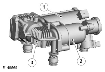 G11692826