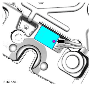 G11692903