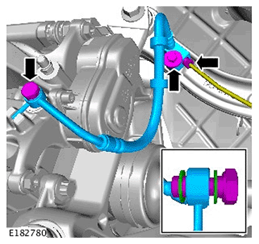 G11693807