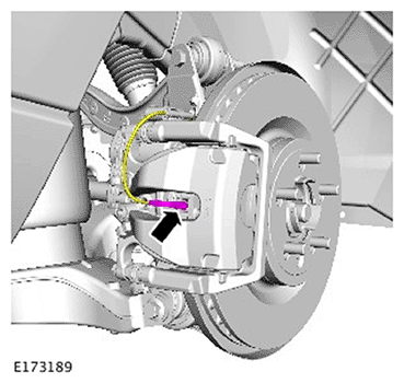 G11693832