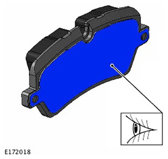G11693838