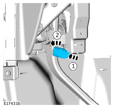 G11693891