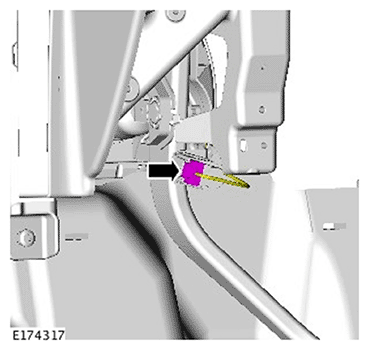 G11693892