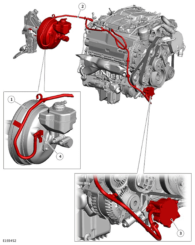 G11693898