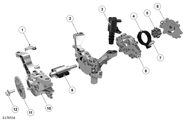 G11693905
