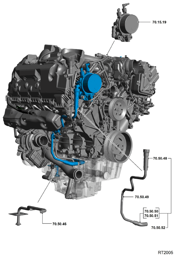 G11693924
