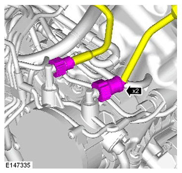 G11693926