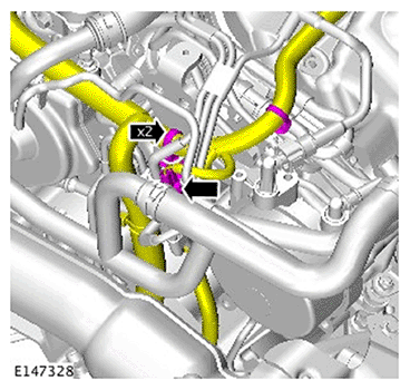 G11693929