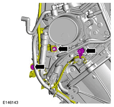 G11693943