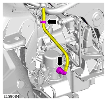 G11693952