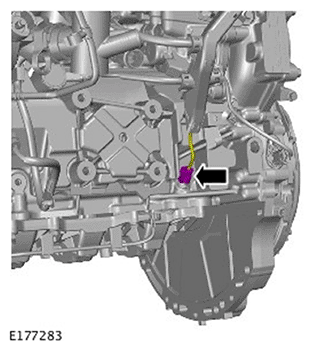 G11693959