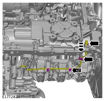 G11693960