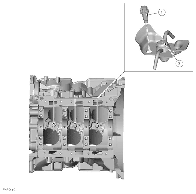 G11695271