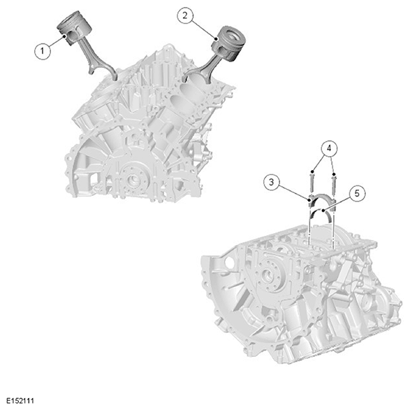 G11695279