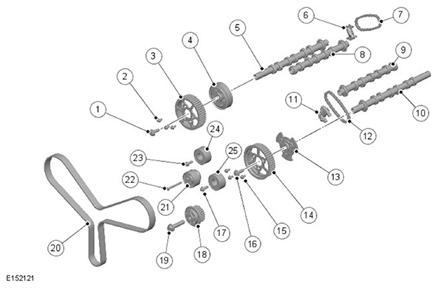 G11695281