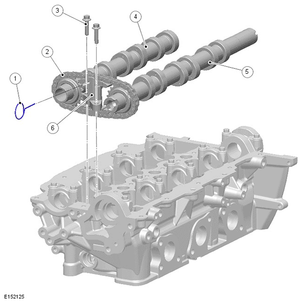 G11695282